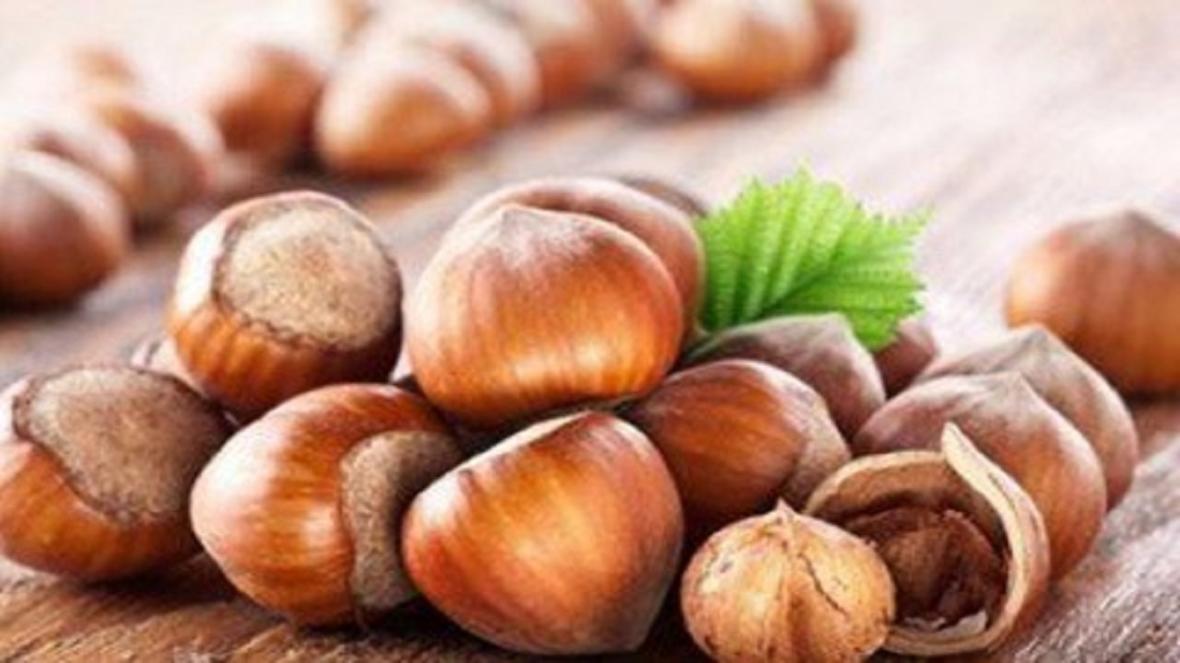 سیستم ایمنی بدنتان را با فندق تقویت کنید سیستم ایمنی بدنتان را با فندق تقویت کنید