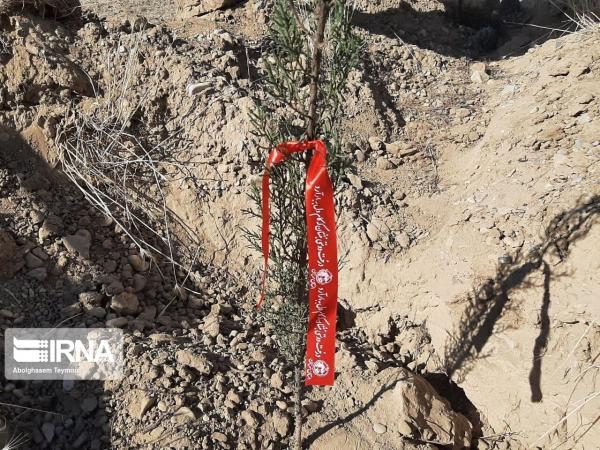 خبرنگاران استاندار: مشارکت همگان در حفظ منابع طبیعی سیستان و بلوچستان لازم است