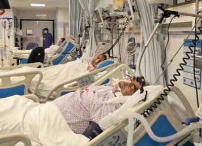 7 بیمار مبتلا به کرونا طی 24 ساعت گذشته جان خود را در خراسان شمالی از دست دادند