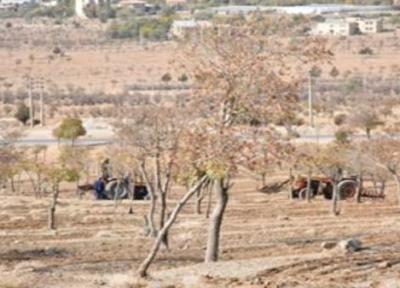 شروع احیای جنگل های دانشگاه شهرکرد