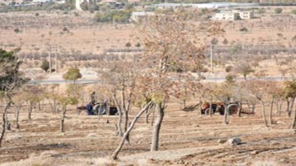 آغاز احیای جنگل های دانشگاه شهرکرد شروع احیای جنگل های دانشگاه شهرکرد