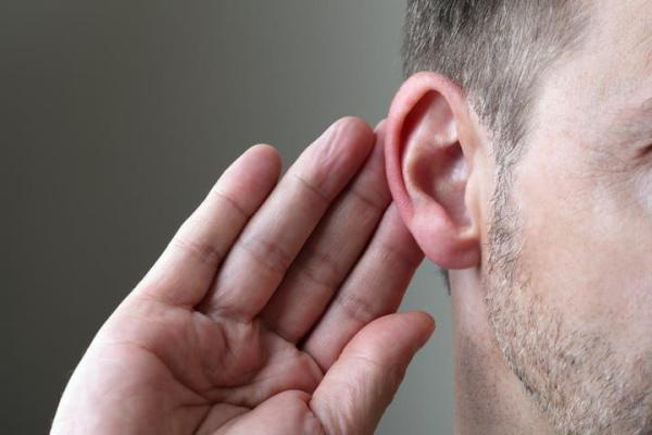 الگوی حیرت انگیز سلول های گوش داخلی که شنیدن را ممکن می نماید ، عکس