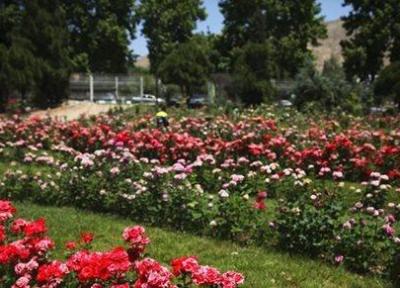 باغ ارم نمونه ای از باغهای بی نظیر ایران به شمار می رود