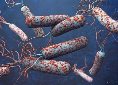 هشدار وزارت بهداشت درباره شیوع وبا در پاییز